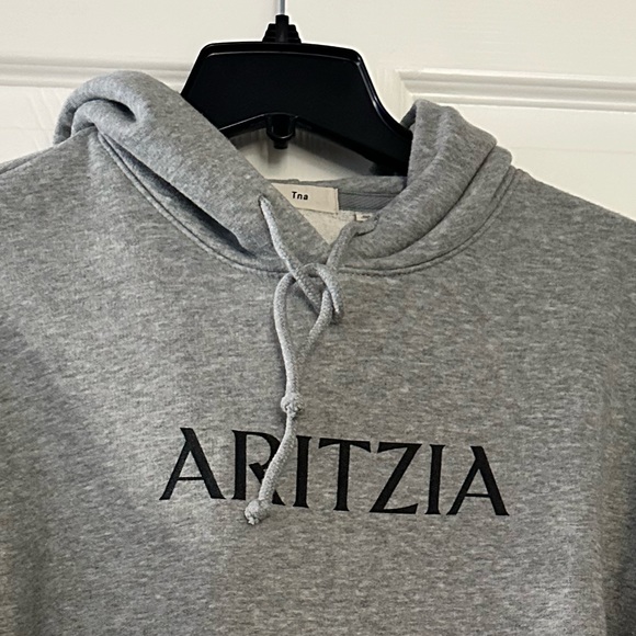 TNA Aritzia ICONIC LOGO GREY Hoodie Sz XS/S - Picture 2 of 7